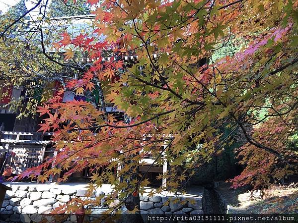 20161114。山寺_170823_0077.jpg