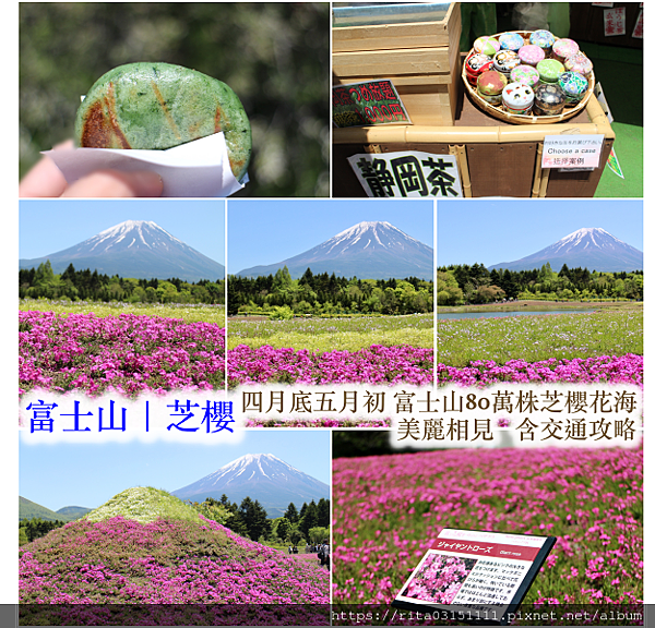 1.富士山芝櫻＋字.png