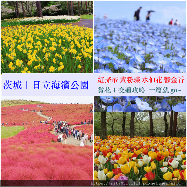 1.海濱公園完整版拼貼+字.png