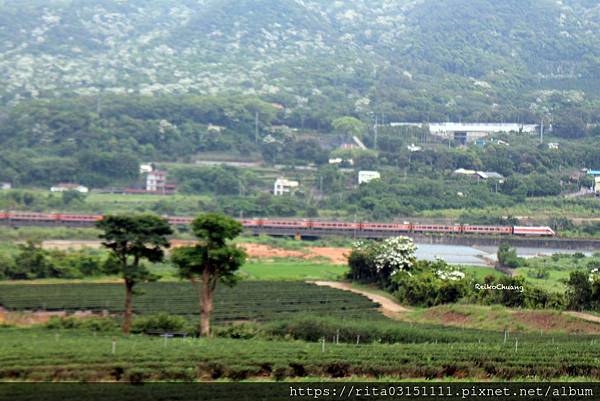 batch_IMG_9203-105.jpg batch_IMG_9203-105.jpg