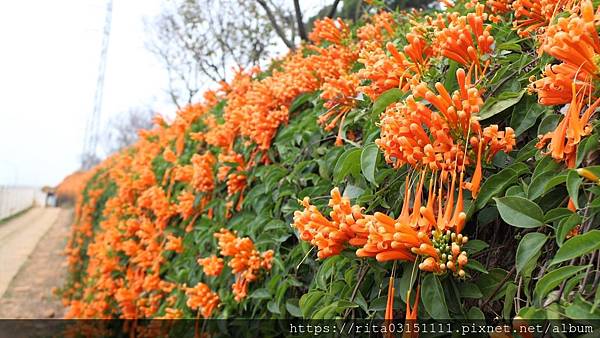 6174653776_IMG_0319.jpg 6174653776_IMG_0319.jpg