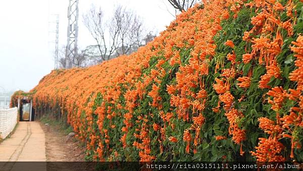 6174653776_IMG_0324.jpg 6174653776_IMG_0324.jpg