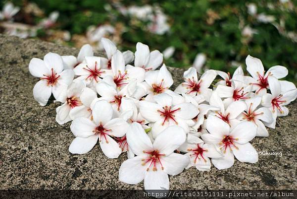 batch_IMG_8402-30.jpg batch_IMG_8402-30.jpg