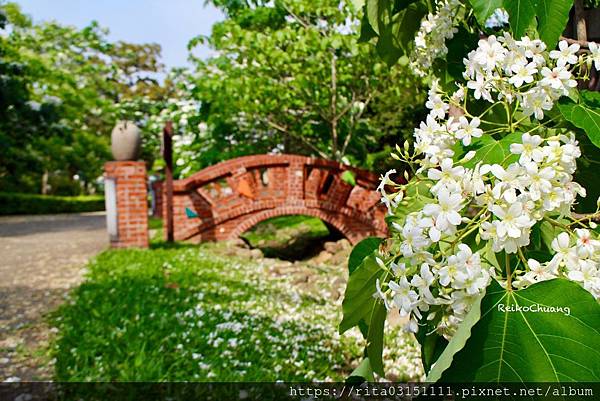 batch_IMG_8518-146.jpg batch_IMG_8518-146.jpg