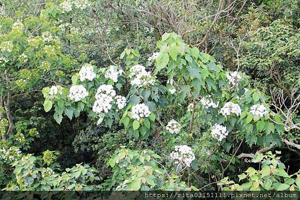 batch_IMG_9498-48.jpg batch_IMG_9498-48.jpg