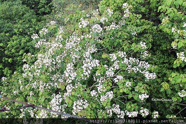 batch_IMG_9502-35.jpg batch_IMG_9502-35.jpg