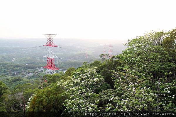 batch_IMG_9506-36.jpg batch_IMG_9506-36.jpg