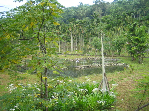 澀水風景