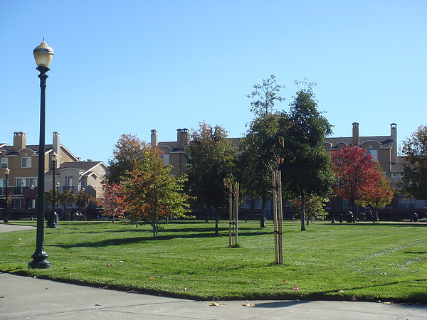 DSC01992.JPG