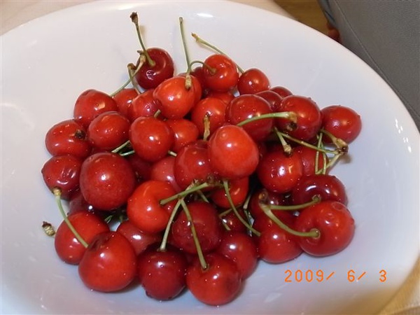 R0014154.JPG R0014154.JPG