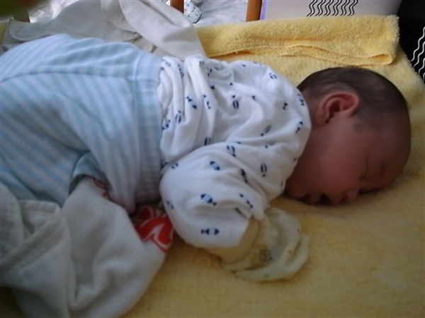 R0015087.JPG R0015087.JPG