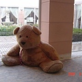 飯店大廳的大熊熊