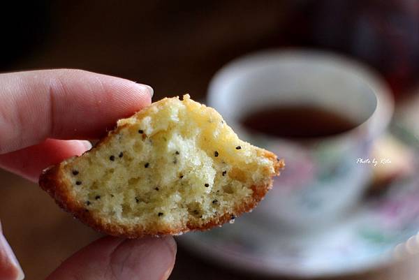 檸香罌粟籽瑪德蓮