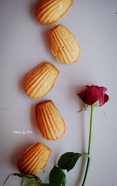 玫瑰純露瑪德蓮