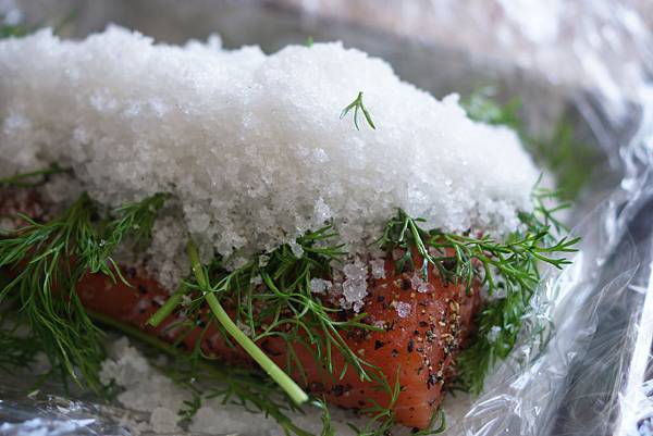 醃製生鮭魚 Gravlax