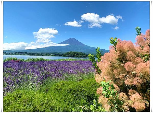 2023 東京獨旅