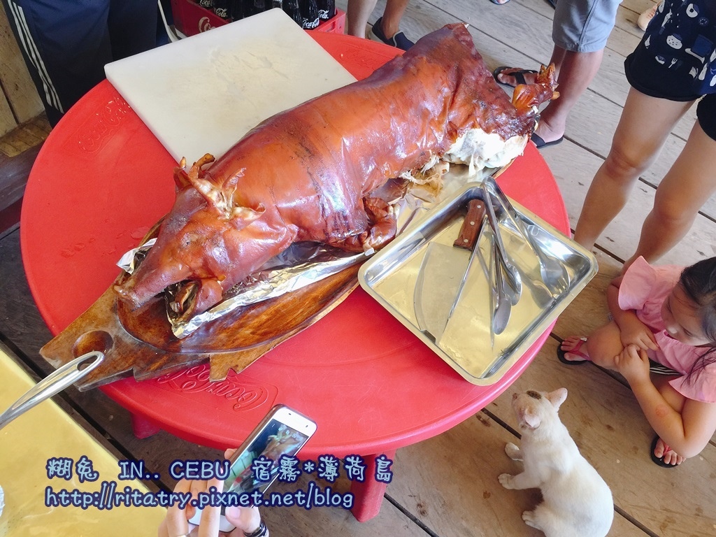 IMG_8911.JPG IMG_8911.JPG
