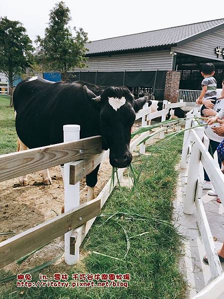 IMG_9414.JPG IMG_9414.JPG