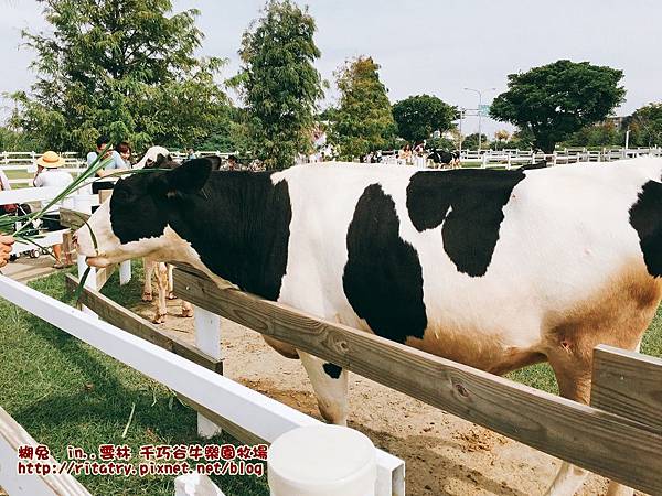 IMG_9415.JPG IMG_9415.JPG