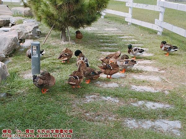 IMG_9429.JPG IMG_9429.JPG