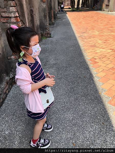 IMG_5794.jpeg IMG_5794.jpeg