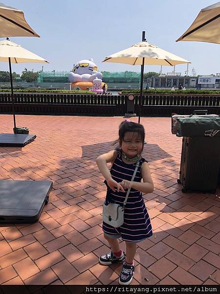 IMG_5804.jpeg IMG_5804.jpeg