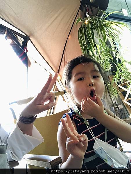 IMG_5818.jpeg IMG_5818.jpeg