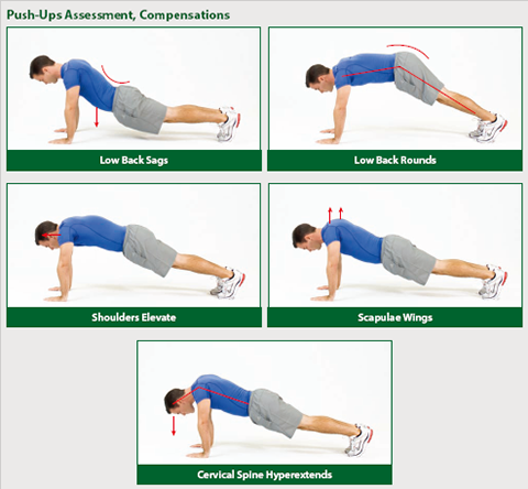 assessment_push_ups