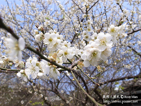 （邦）逸仙公園 9