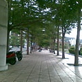 20090520(010).jpg