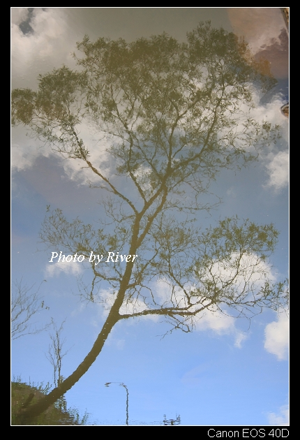 IMG_6650 IMG_6650
