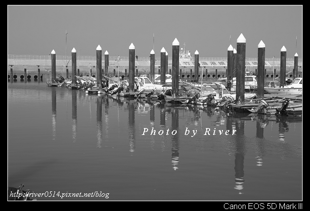 IMG_0426 IMG_0426
