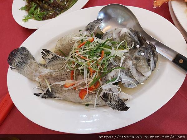 20220730_132553 20220730_132553