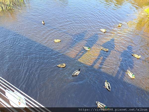 IRL_愛爾蘭Sligo〝兩天一夜行程｜Sligo市區很美、