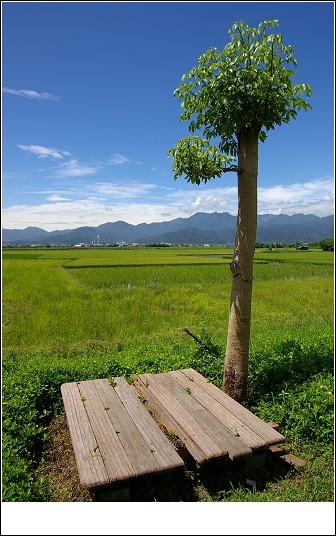 宜蘭民宿‧河風民宿