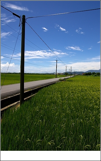 宜蘭民宿‧河風民宿