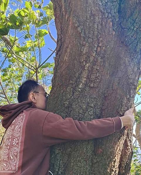 光行俠擁抱大地母親:與樹的能量交流 光行俠擁抱大地母親:與樹的能量交流