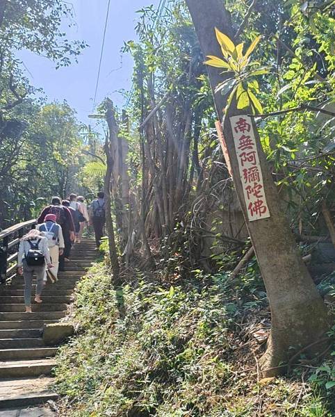階梯與虔誠:光行俠向上的心,連結天地之道 階梯與虔誠:光行俠向上的心,連結天地之道