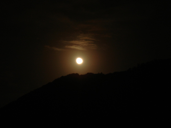 DSC02959.JPG