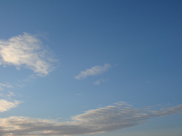 DSC03016.JPG