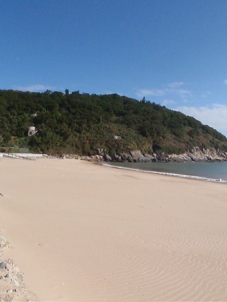 PB260709-800.jpg