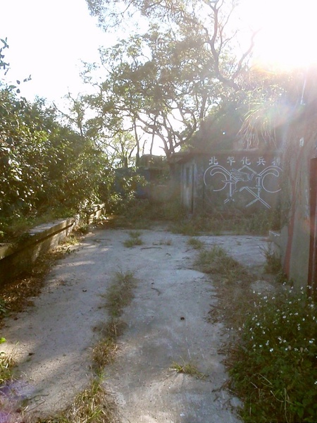 PB260716-800.jpg