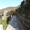 PB260723-800.jpg