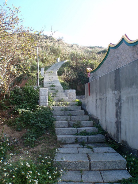 PB260738-800.jpg