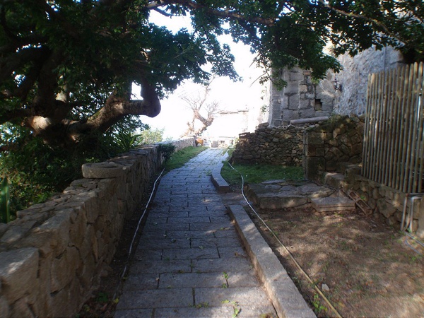 PB260745-800.jpg