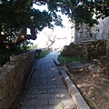 PB260745-800.jpg