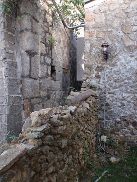 PB260746-800.jpg