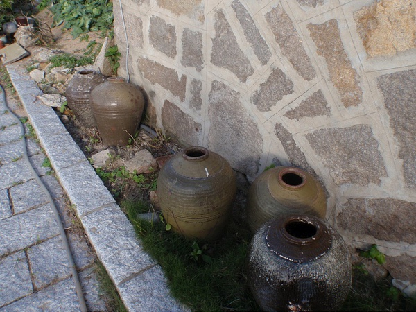 PB260747-800.jpg