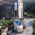 PB260750-800.jpg