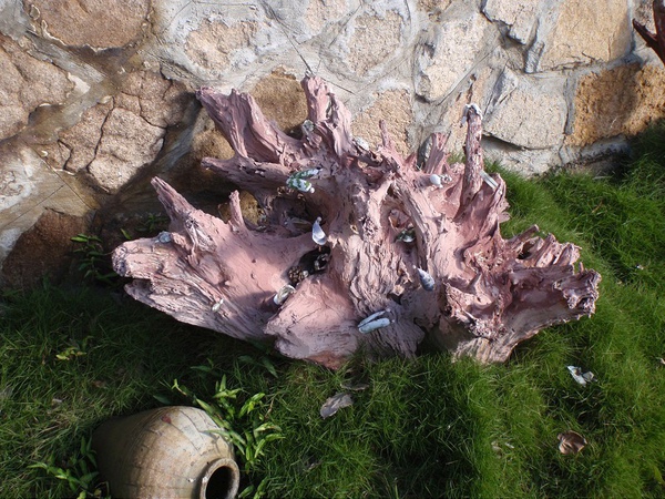 PB260751-800.jpg